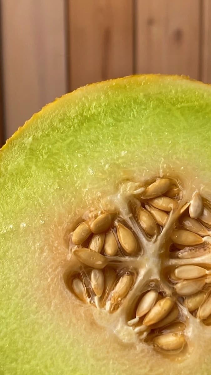 MELON-VANILLA SORBET