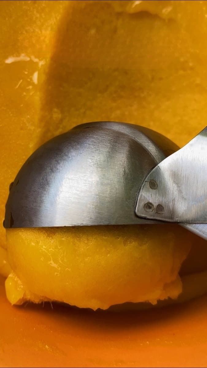 MANGO SORBET