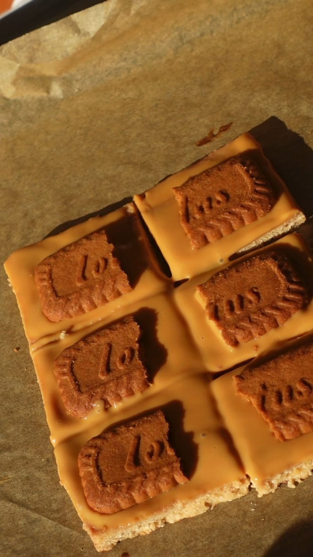 LOTUS CARAMEL PROTEIN BARS