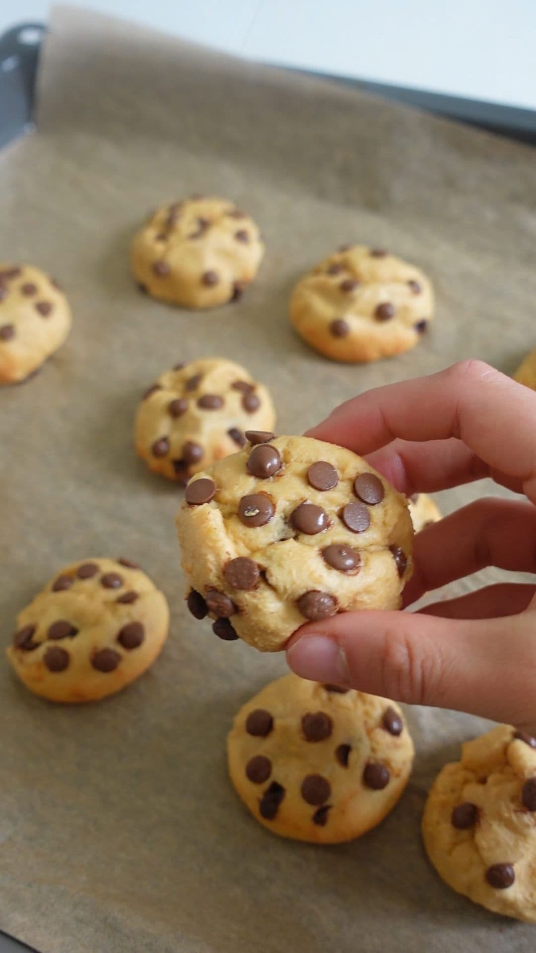 PROTEIN COOKIES 
