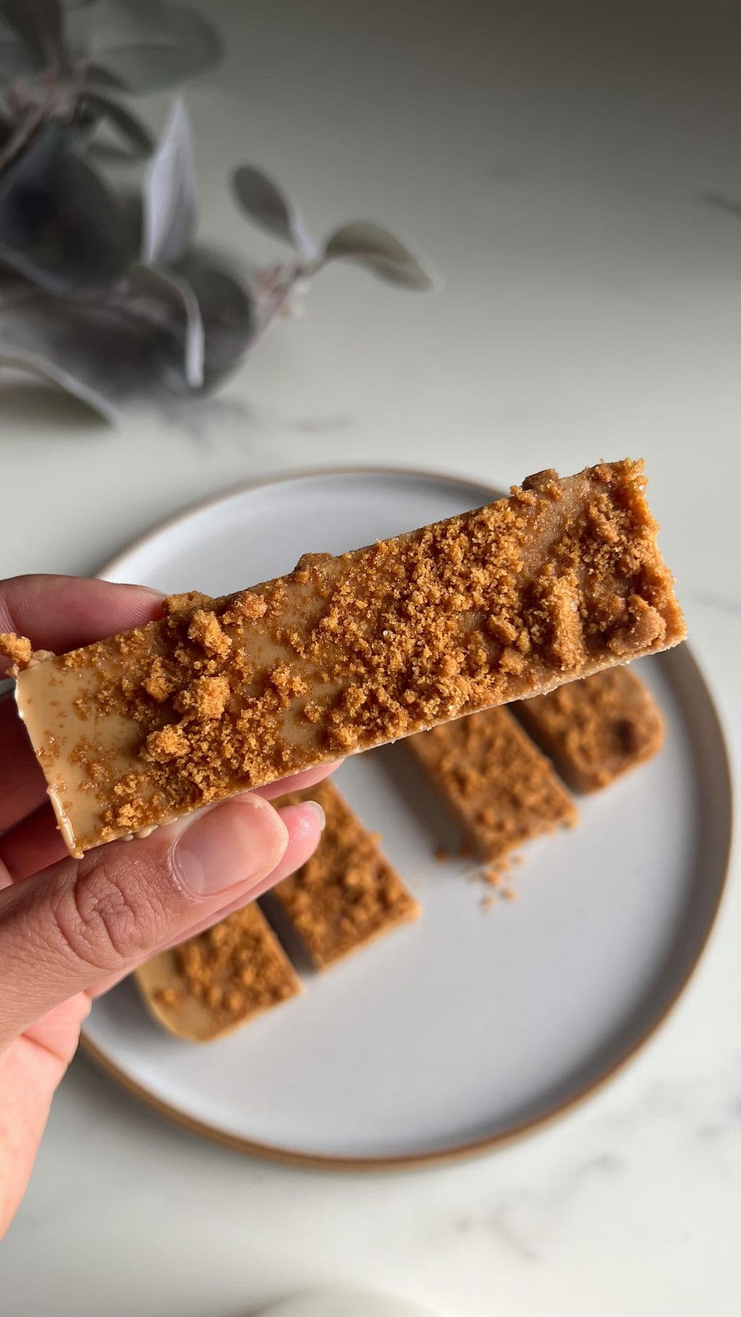 Biscoff Protein Bars 