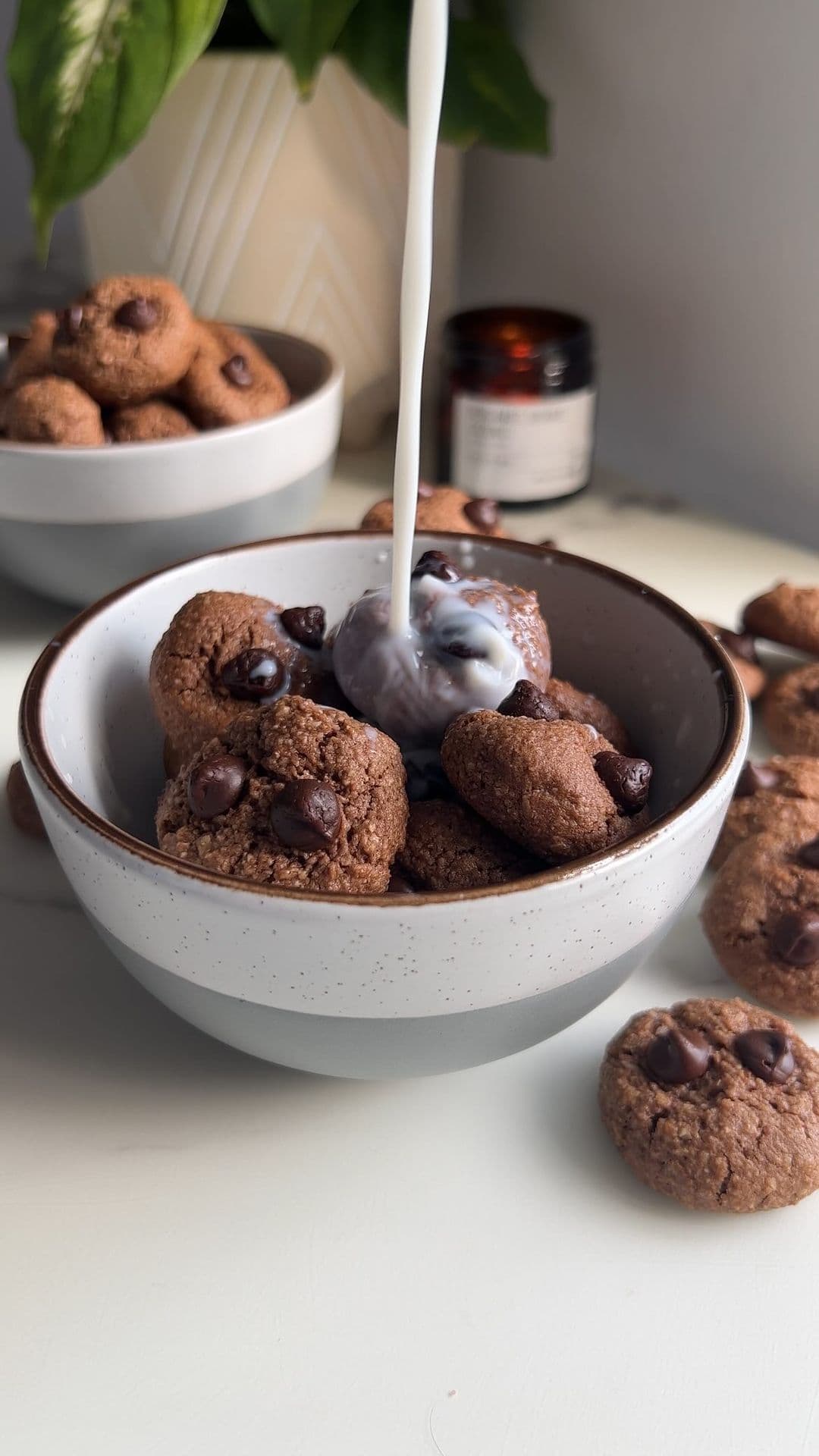 Mini Chocolate Cookie Cereal 