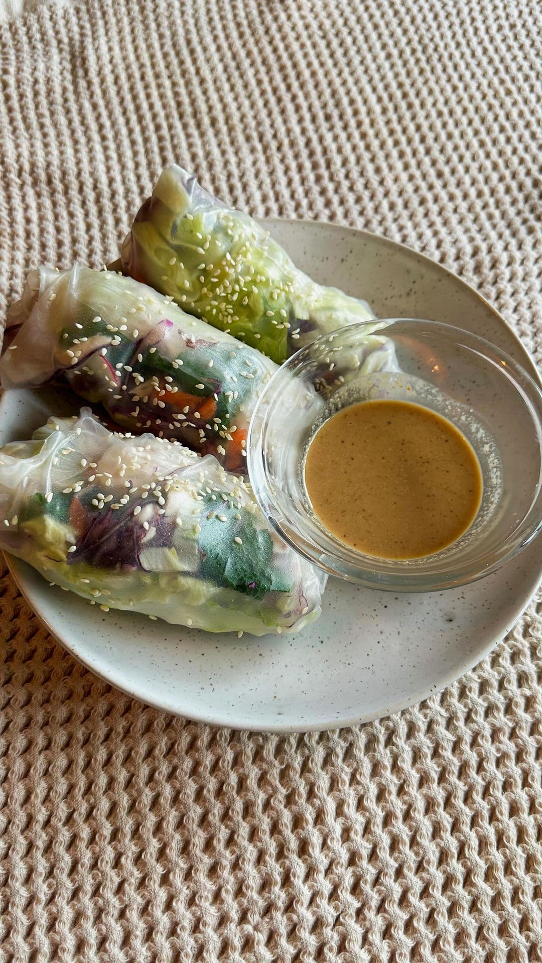 Chicken Rice Paper Rolls 