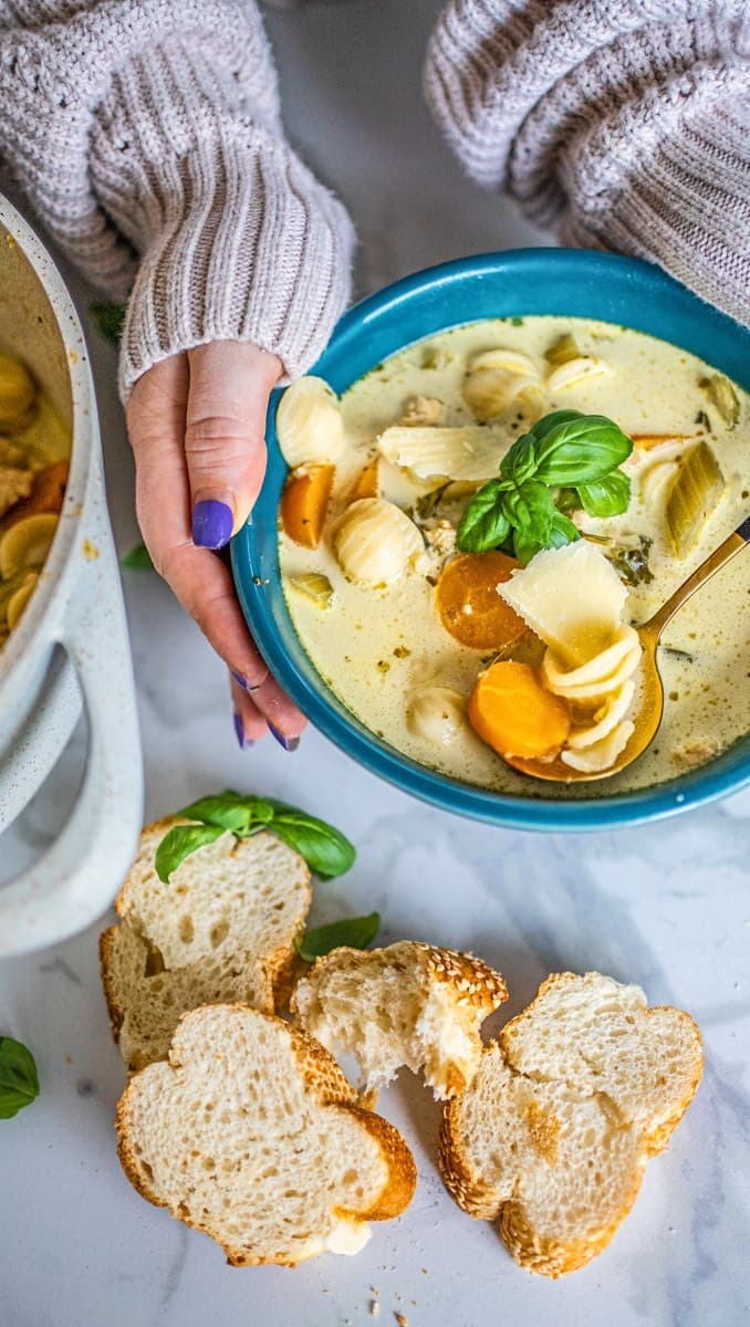 HEARTY WINTER CHICKEN AND VEGETABLE PASTA SOUP